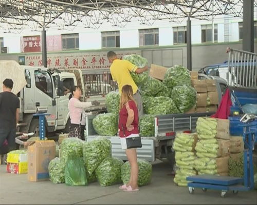 本地瓜果蔬菜主導食用農(nóng)產(chǎn)品批發(fā)市場
