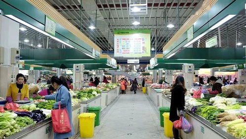 路橋食光 共享美味，打造農產品批發新生態