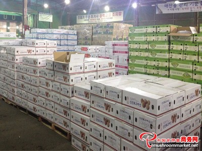 平泉“瀑河源”綻放光芒，引領食用菌品牌新高度